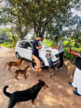Animal Care Unit Project