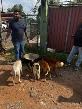 Animal Care Unit Project