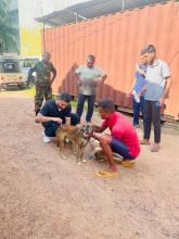 Animal Care Unit Project